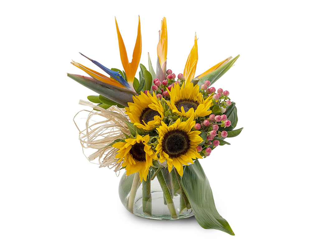Donnas Garden Flower Shop | 4155 W Peterson Ave, Chicago, IL 60646 | Phone: (773) 282-6363