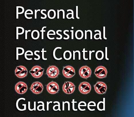 Midwest Exterminating | 228 N Grant St, Westmont, IL 60559 | Phone: (630) 968-0200