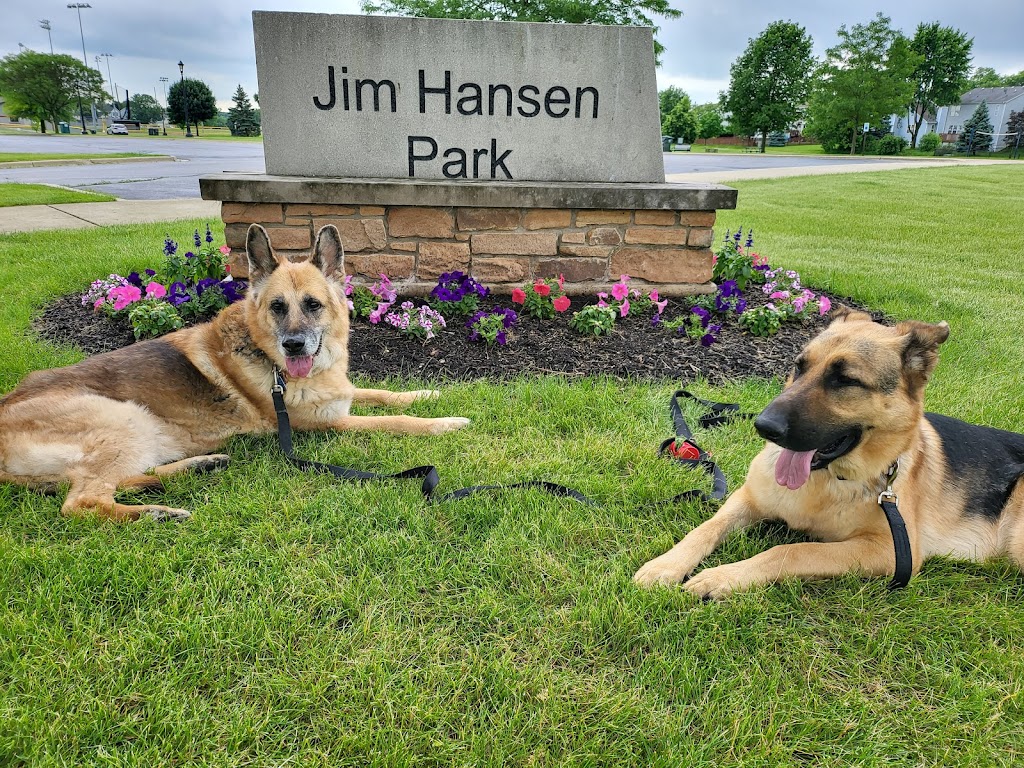 Jim Hansen Park | 338 Valley Forge Ave, South Elgin, IL 60177 | Phone: (847) 742-5780
