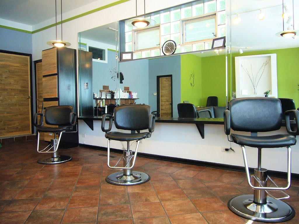 Andante Hair Studio | 3451 N Central Ave, Chicago, IL 60634 | Phone: (773) 283-2770