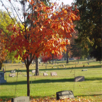 Riverside Cemetery | 414 N River St, Montgomery, IL 60538 | Phone: (630) 906-6800