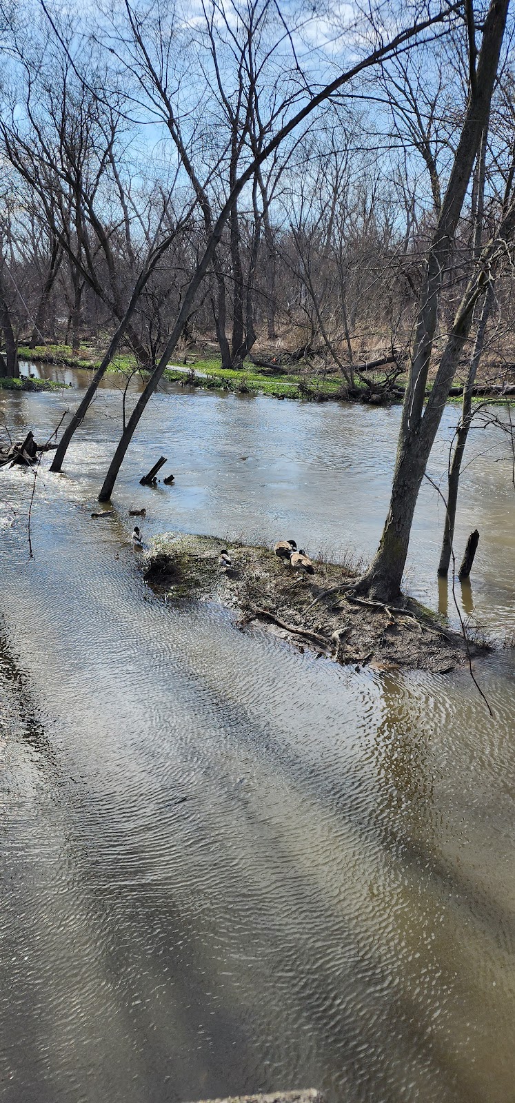 Ecological Management Site North Branch Restoration Project | 6800 N Caldwell Ave, Chicago, IL 60646 | Phone: (708) 771-1573