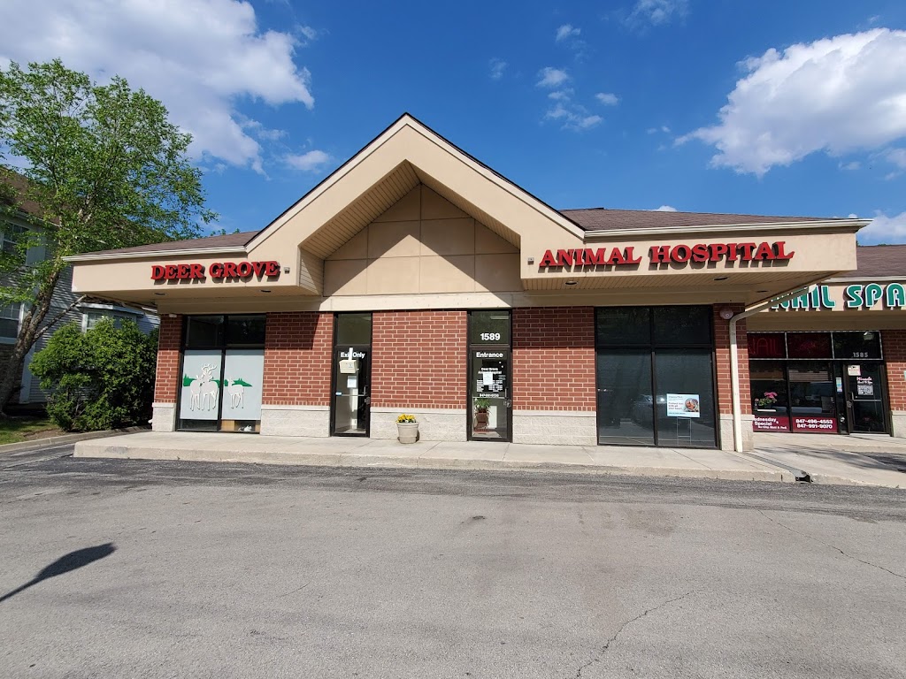 Deer Grove Animal Hospital | 1589 N Quentin Rd, Palatine, IL 60074 | Phone: (847) 991-9720