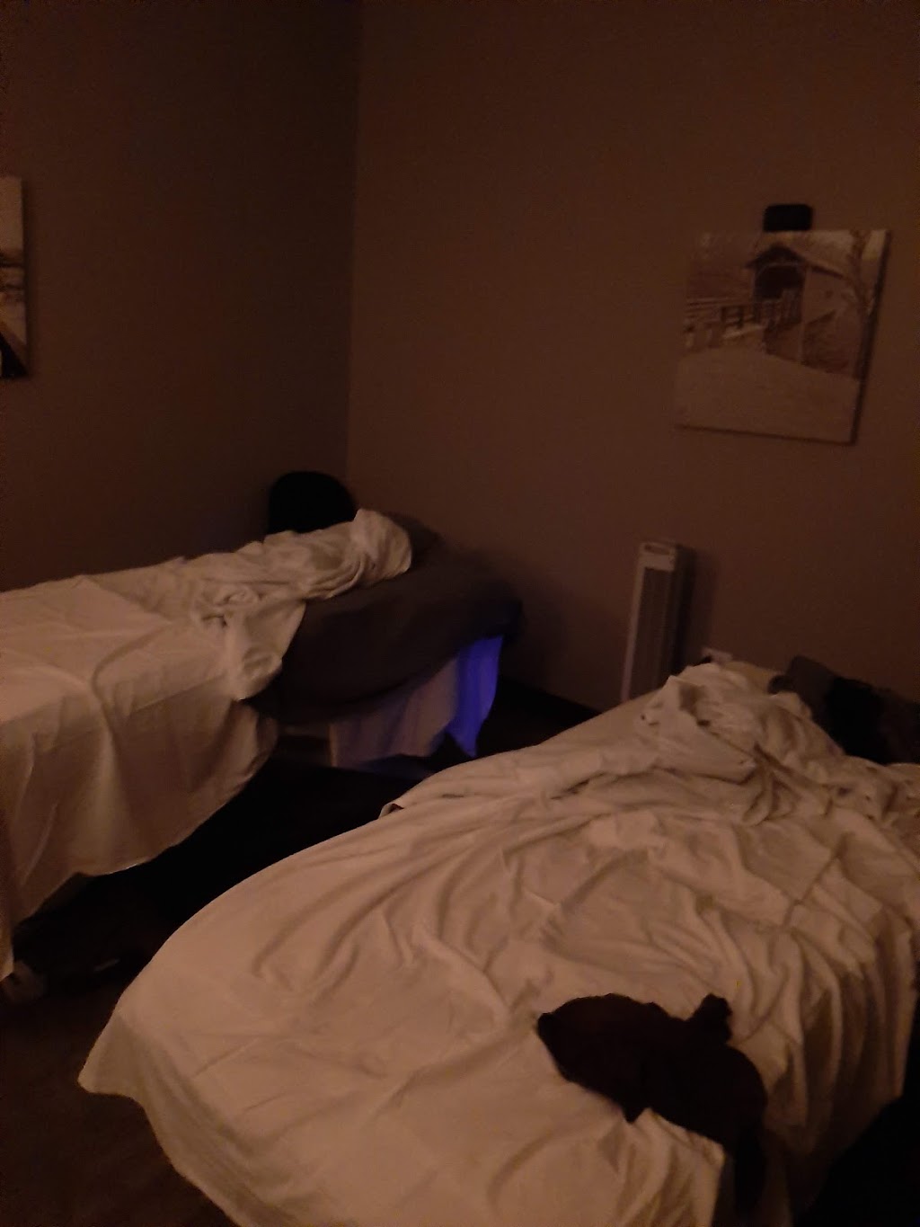 Hand and Stone Massage and Facial Spa | 3750 Willow Rd B, Northbrook, IL 60062 | Phone: (224) 231-0717