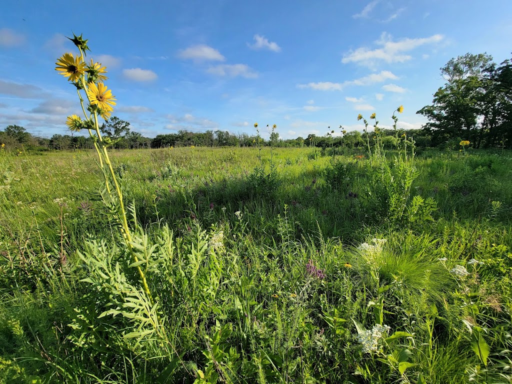 Somme Prairie Nature Preserve | 45R9+6P, Northbrook, IL 60062 | Phone: (800) 870-3666