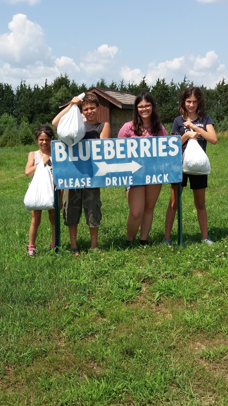 Tammen Treeberry Farm | 37131 Essex Rd, Wilmington, IL 60481 | Phone: (815) 458-6264