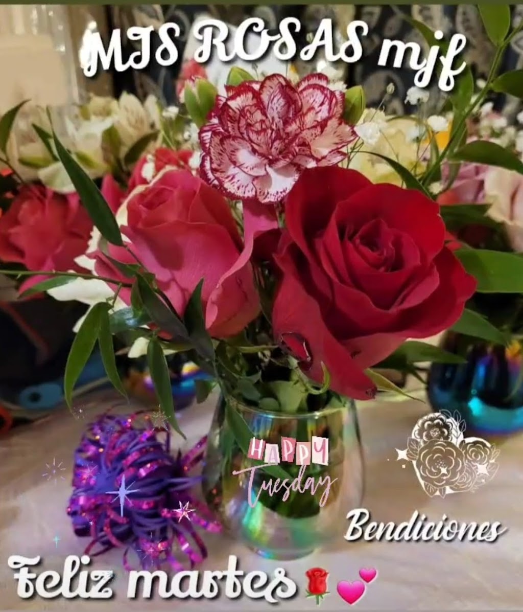 Mis Rosas M.J.F | 672 Luda St, Elgin, IL 60120 | Phone: (847) 754-9609