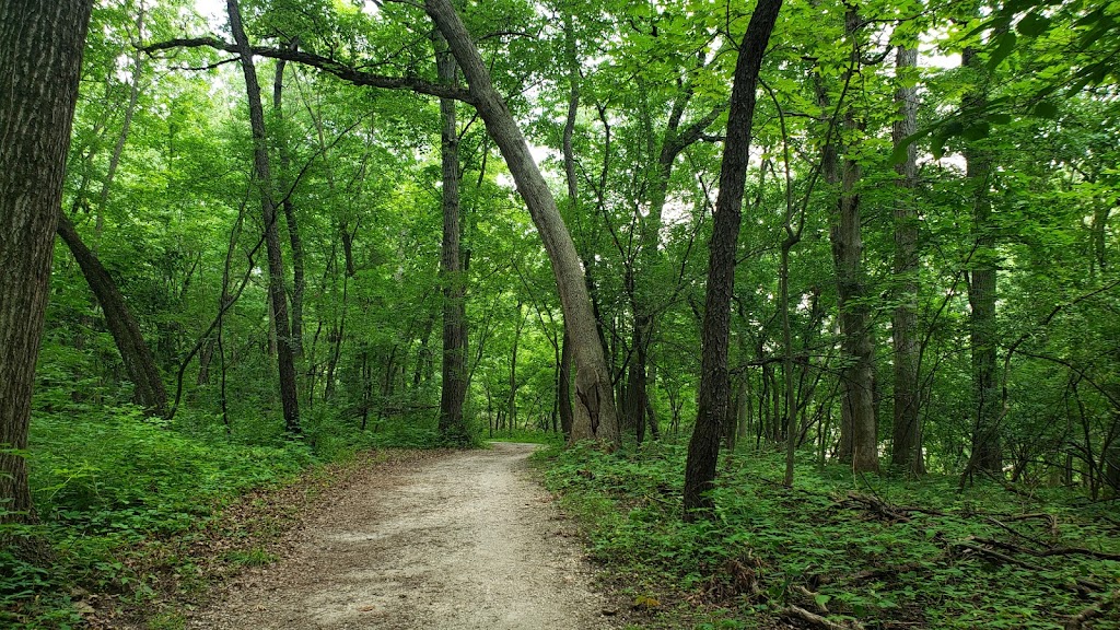 Deer Grove Forest Preserve | W Dundee Rd, Palatine, IL 60067 | Phone: (800) 870-3666