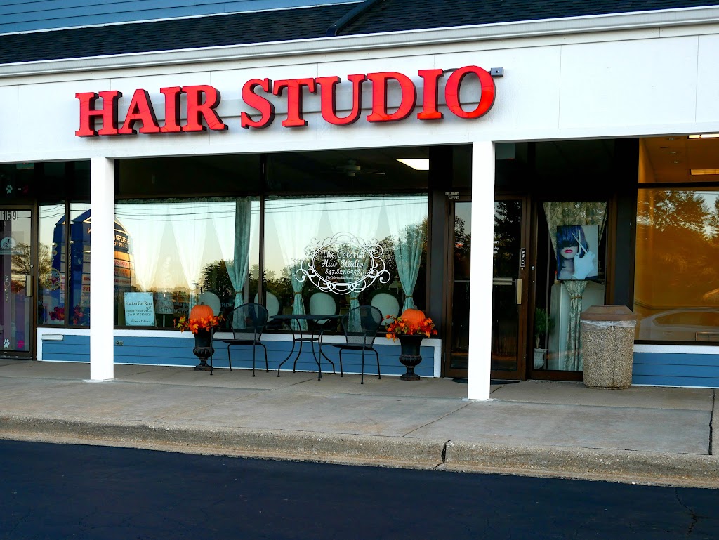 The Colorist Hair Studio | Buffalo Grove, IL 60089 | Phone: (847) 821-6558