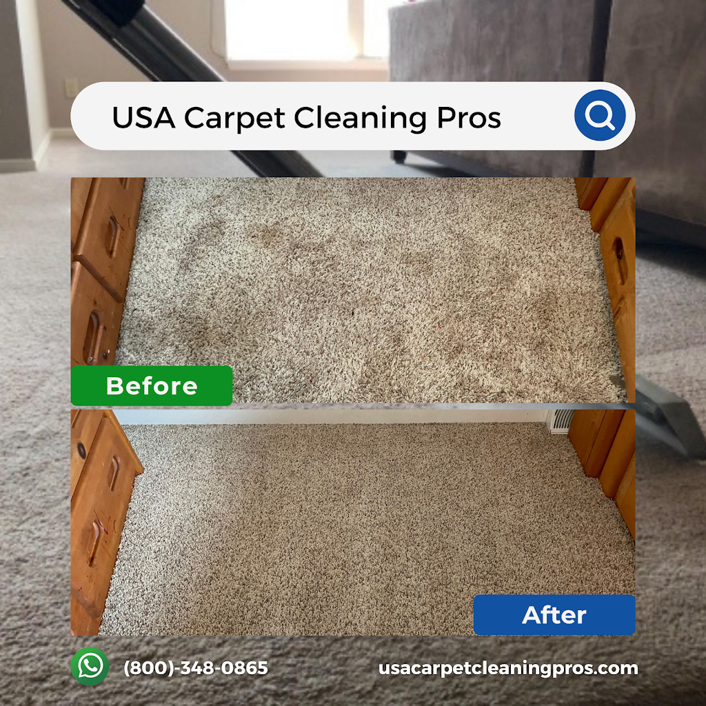 USA Carpet Cleaning Pros - Schererville | 228 W Lincoln Hwy Hwy Suite 121, Schererville, IN 46375 | Phone: (219) 342-3839