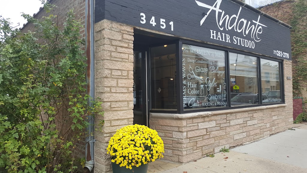 Andante Hair Studio | 3451 N Central Ave, Chicago, IL 60634 | Phone: (773) 283-2770