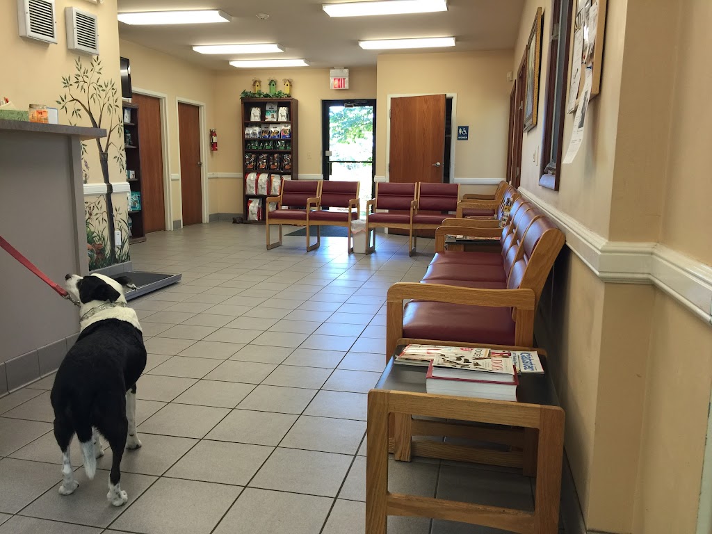 All Creatures Animal Hospital | 1210 IL-22, Lake Zurich, IL 60047 | Phone: (847) 726-0050