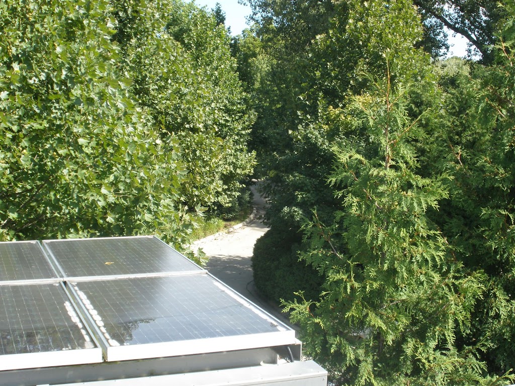 Green Roof Garden | 1000 Lake Cook Rd, Glencoe, IL 60022 | Phone: (847) 835-6801